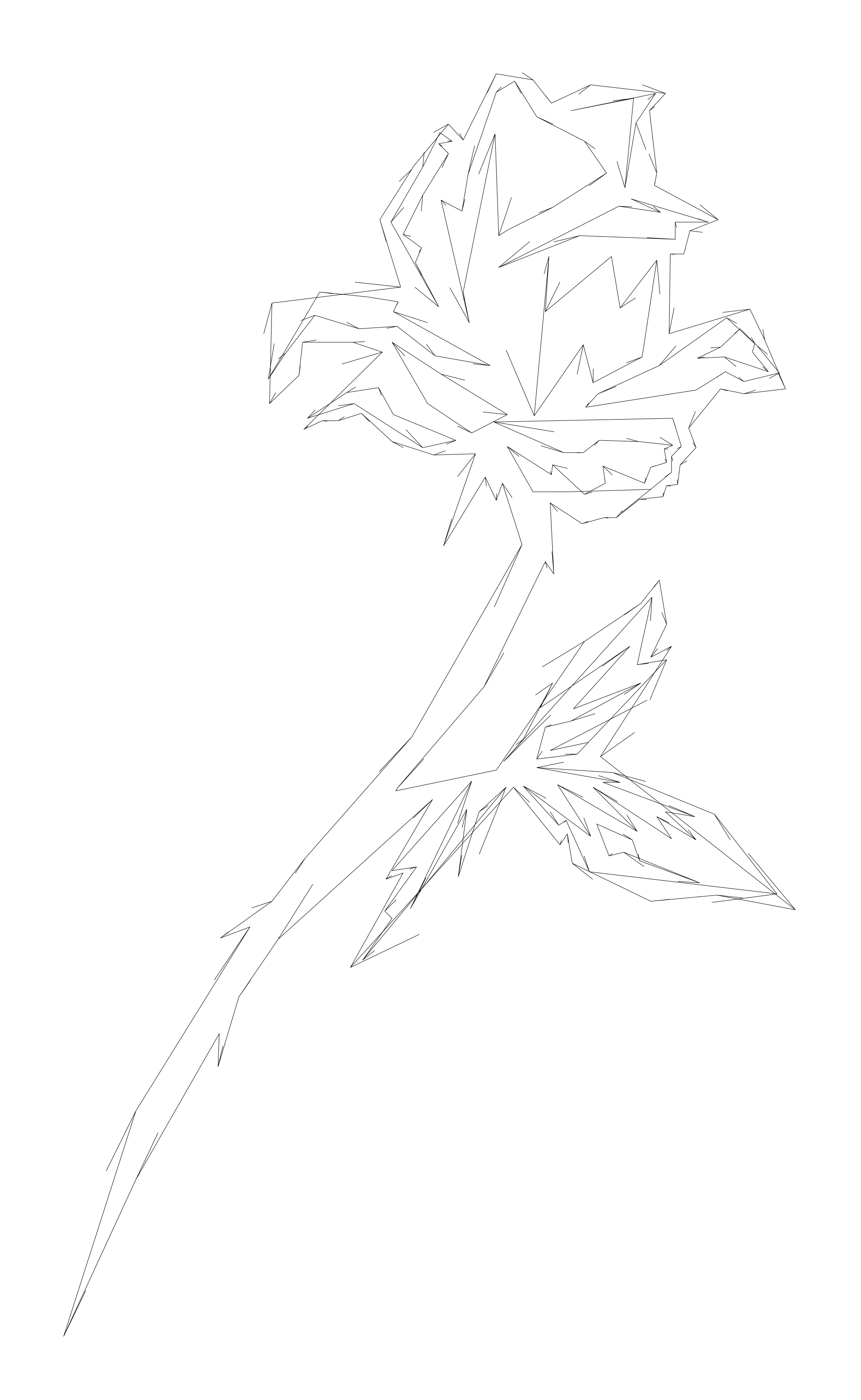 Nature/Flower Rose.png